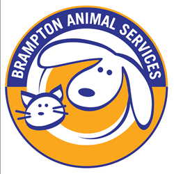 Meet and Greet with Brampton Animal Services